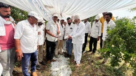 Farmers surveying the damage to their crops in Nashik following a hailstorm
